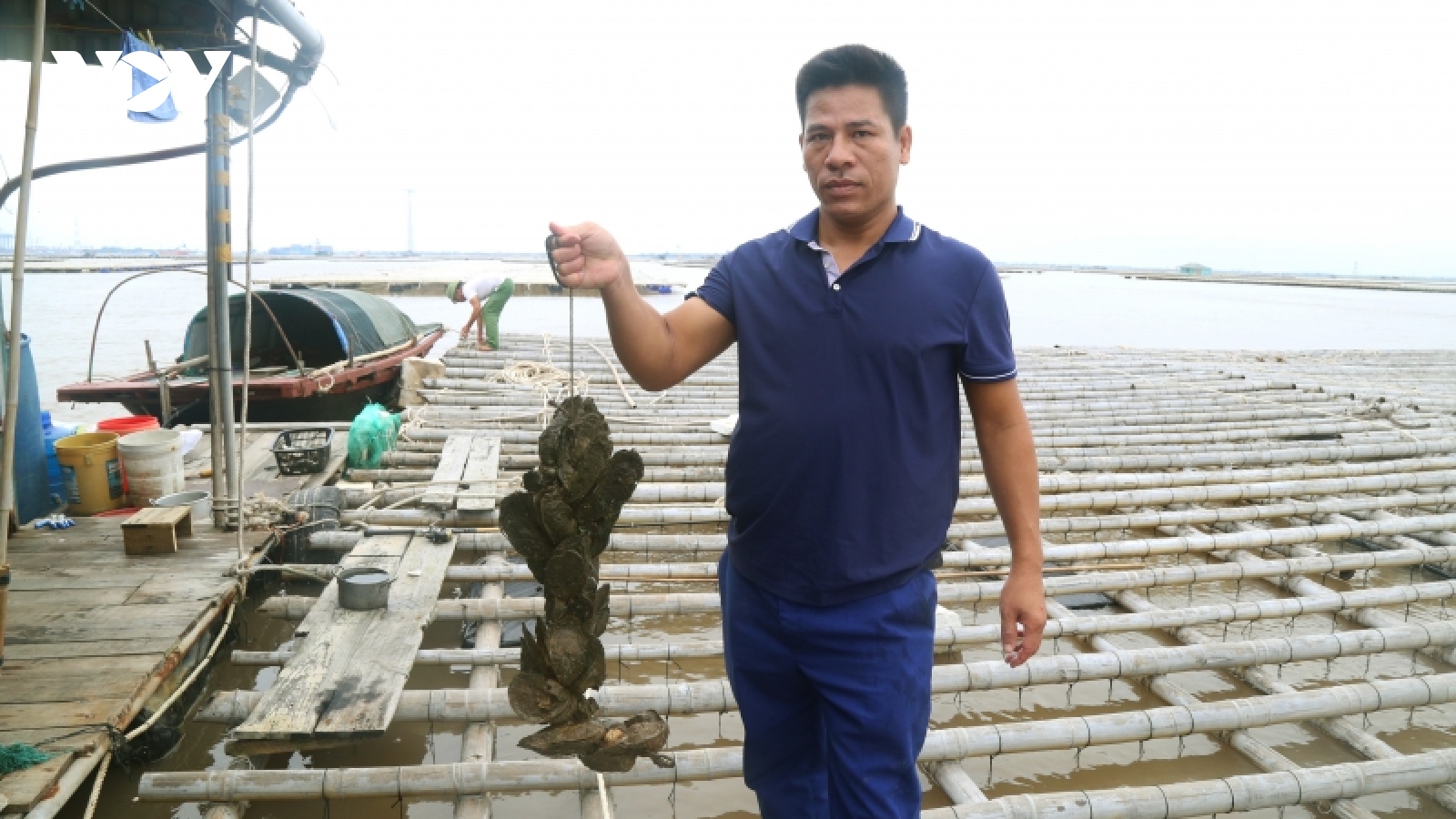 Nghề nuôi hàu treo dây vùng cửa sông tại thị xã Quảng Yên, Quảng Ninh