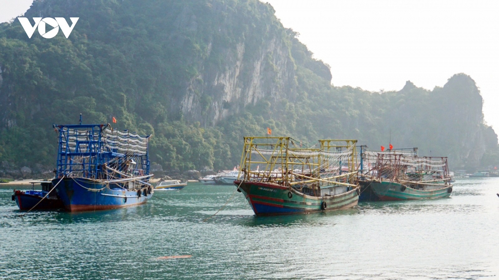 Quảng Ninh tháo gỡ cảnh báo "thẻ vàng" IUU