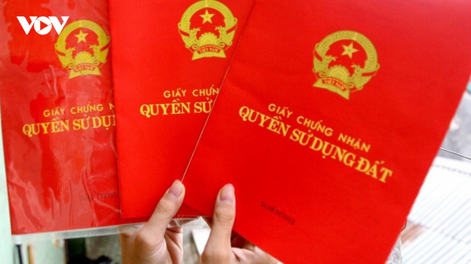 Bắt giám đốc văn phòng đăng ký quyền sử dụng đất và cựu chủ tịch xã ở Bình Định