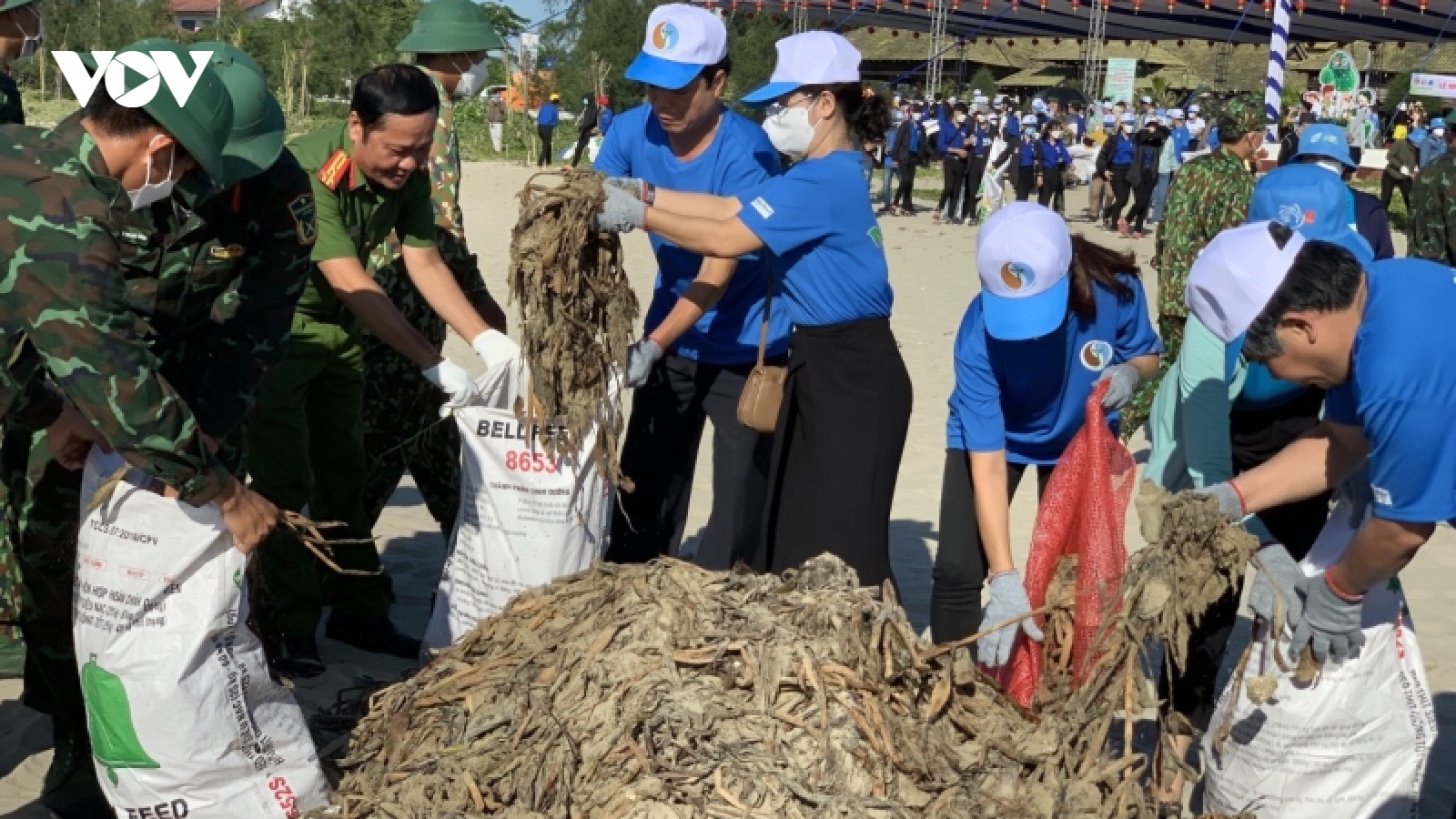 Nhiều hoạt động hưởng ứng ngày Môi trường thế giới ở Quảng Ngãi