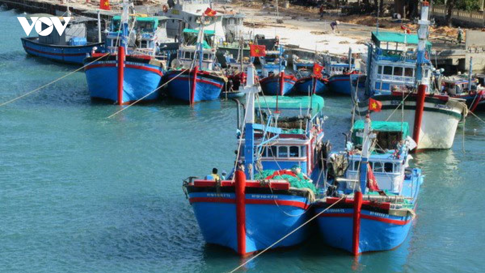 Xử lý triệt để tàu cá khai thác hải sản bất hợp pháp