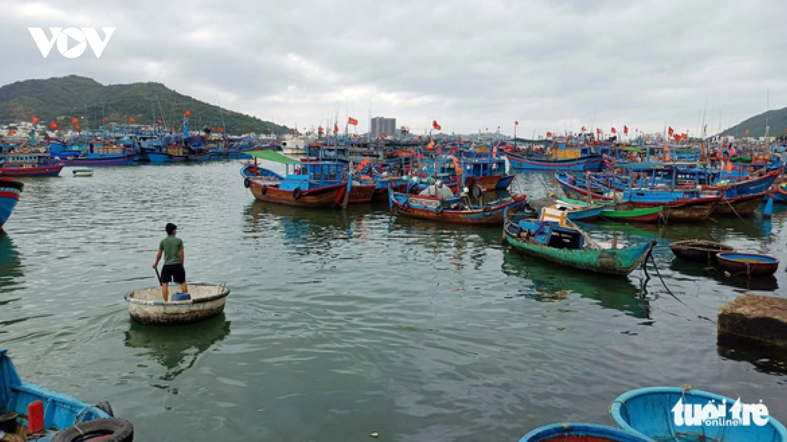 Tàu cá nằm bờ, chờ giá dầu giảm