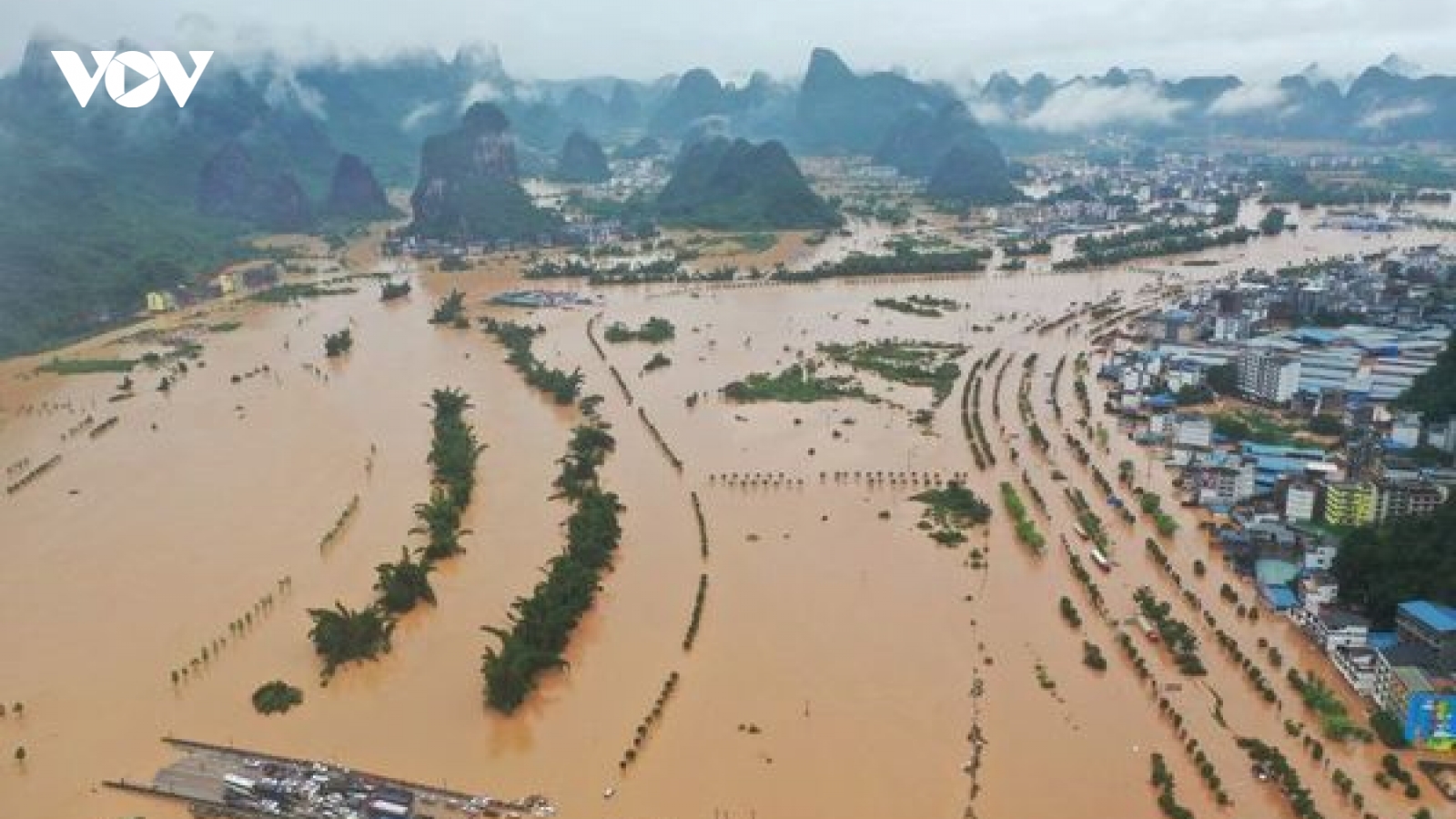 Thảm họa "Thiên nga đen" sẽ hiện hữu nếu chủ quan, xem nhẹ bảo vệ đê điều