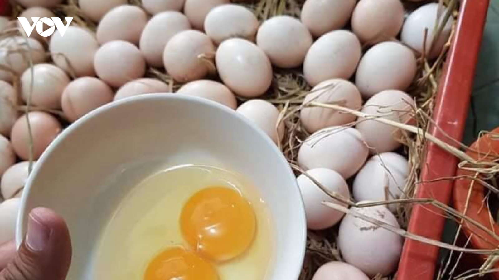 Giá trứng tăng từng ngày, nguy cơ thiếu nguồn cung