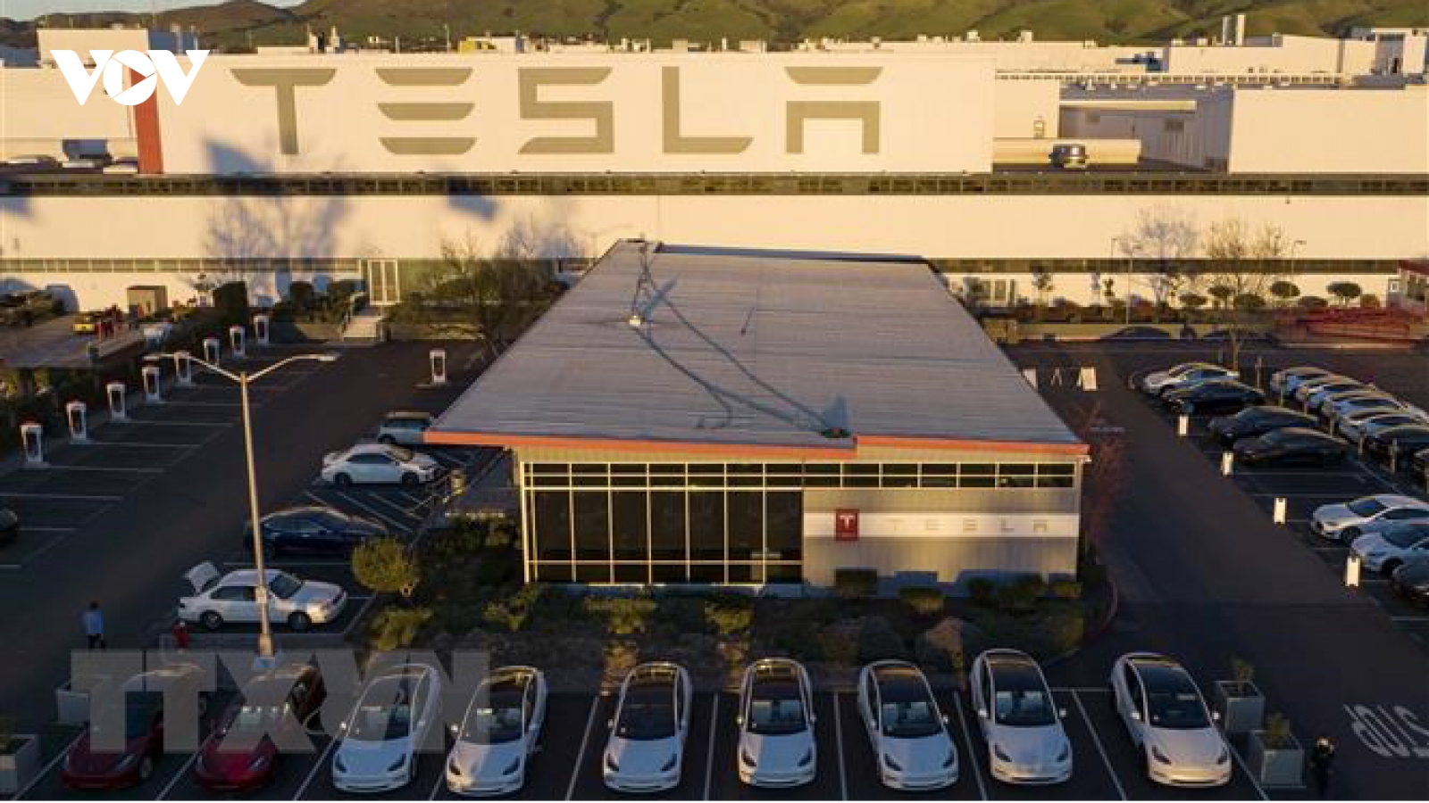 Công ty xe điện Tesla của tỷ phú Elon Musk đang lâm nguy