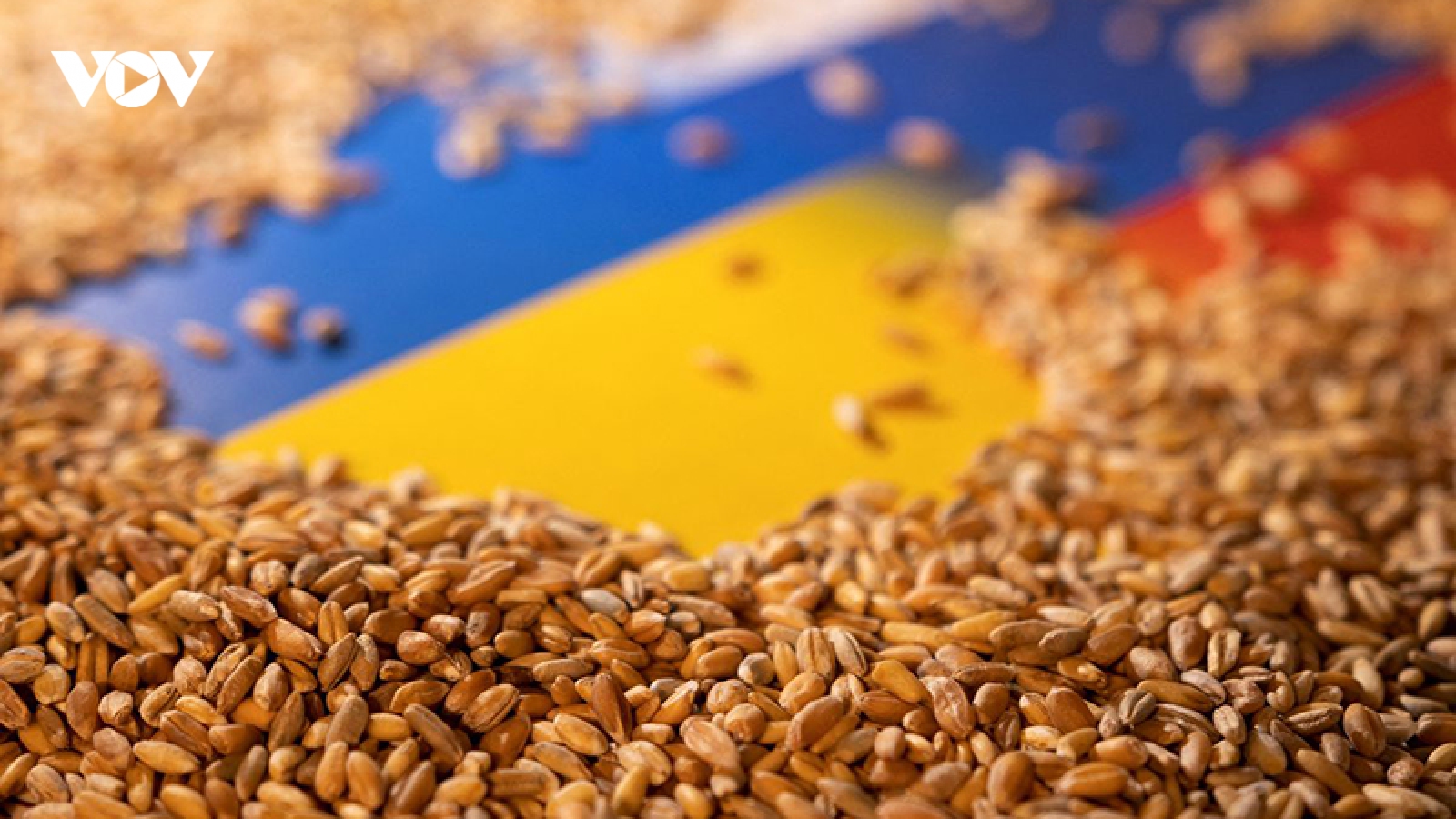 Nga sẵn sàng đảm bảo cho tàu chở ngũ cốc của Ukraine đi lại tự do