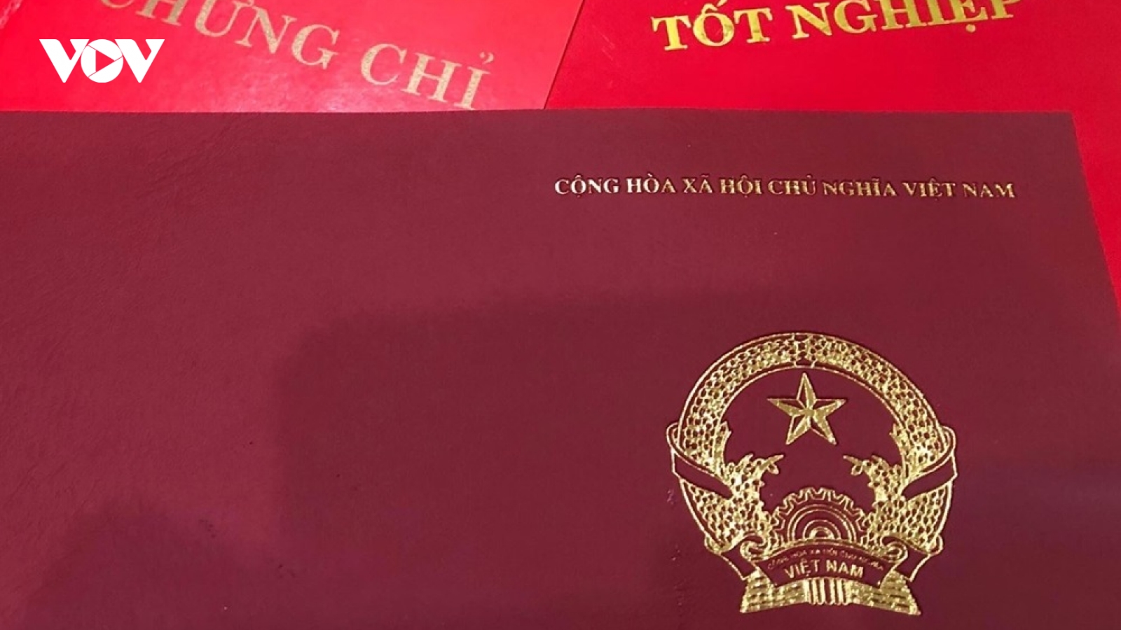 Bình Thuận chỉ đạo rà soát văn bằng, chứng chỉ của cán bộ, công chức, viên chức