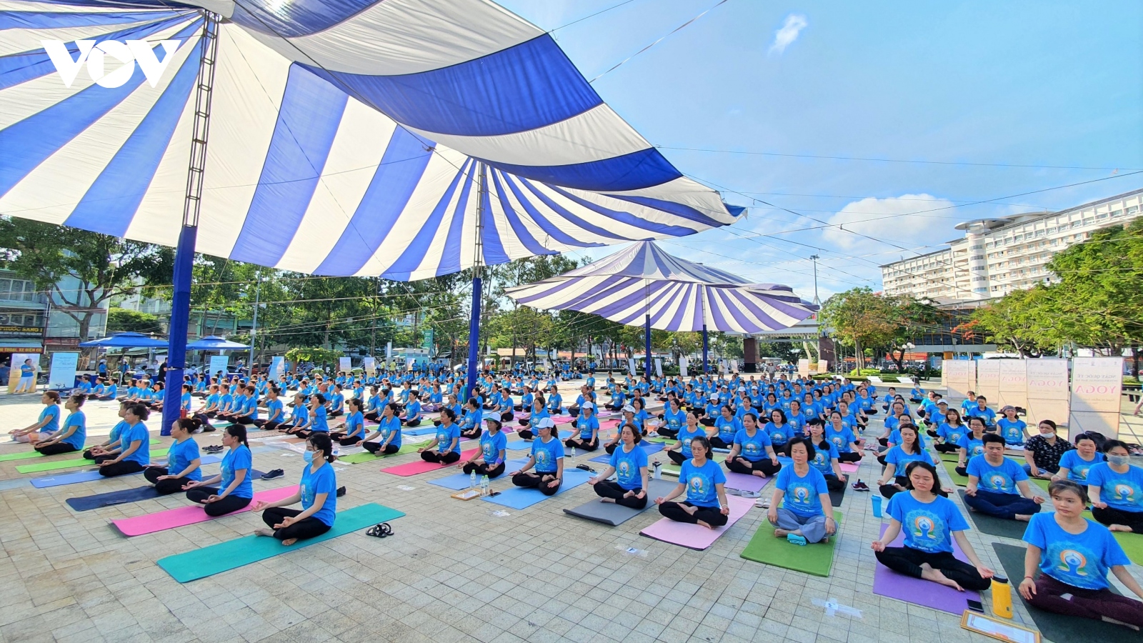 Cần Thơ tổ chức Ngày quốc tế Yoga lần thứ VIII