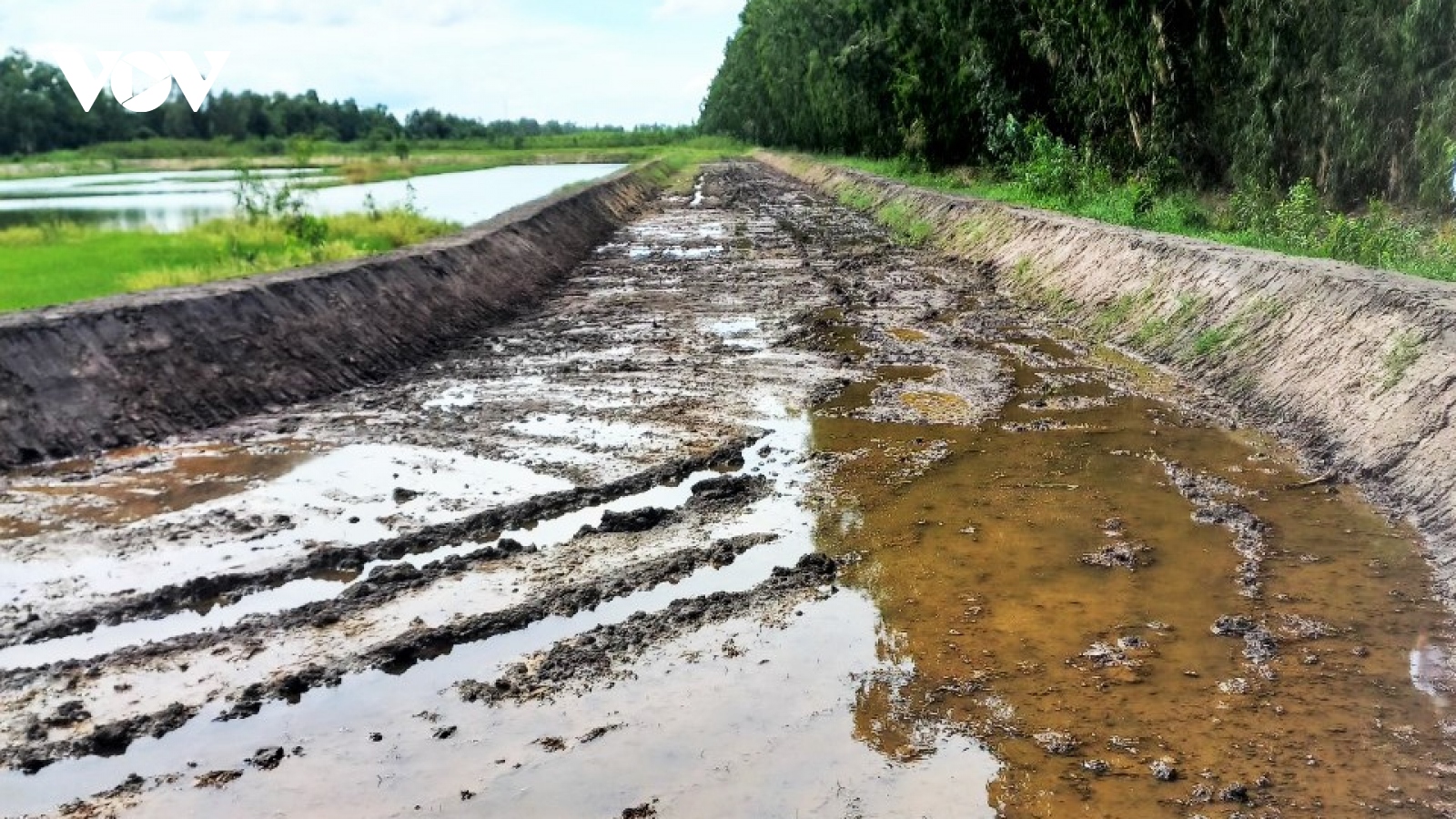 Một doanh nghiệp ở An Giang xây dựng sân đua bò không phép, bất chấp pháp luật