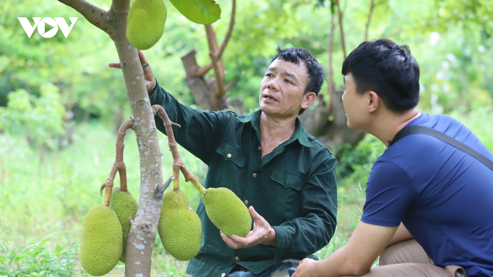 Thương binh vượt khó, chung sức xây dựng bản làng