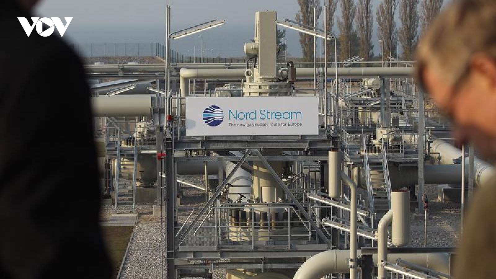 Nga nối lại hoạt động của đường ống Nord Stream-1