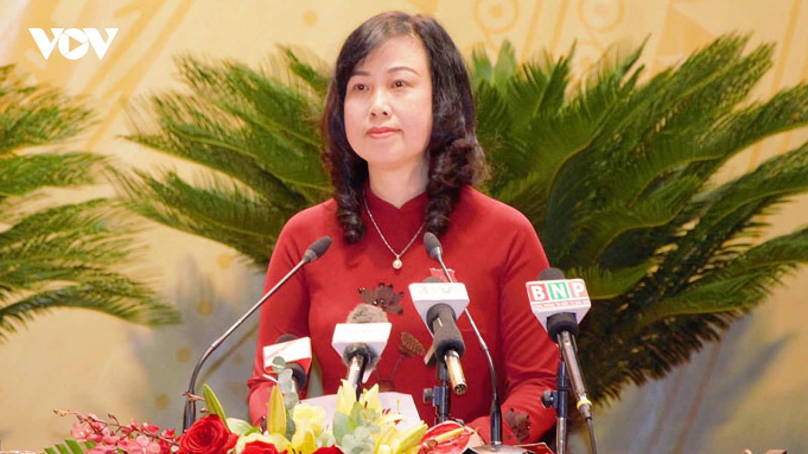 Quá trình công tác của Quyền Bộ trưởng Bộ Y tế Đào Hồng Lan