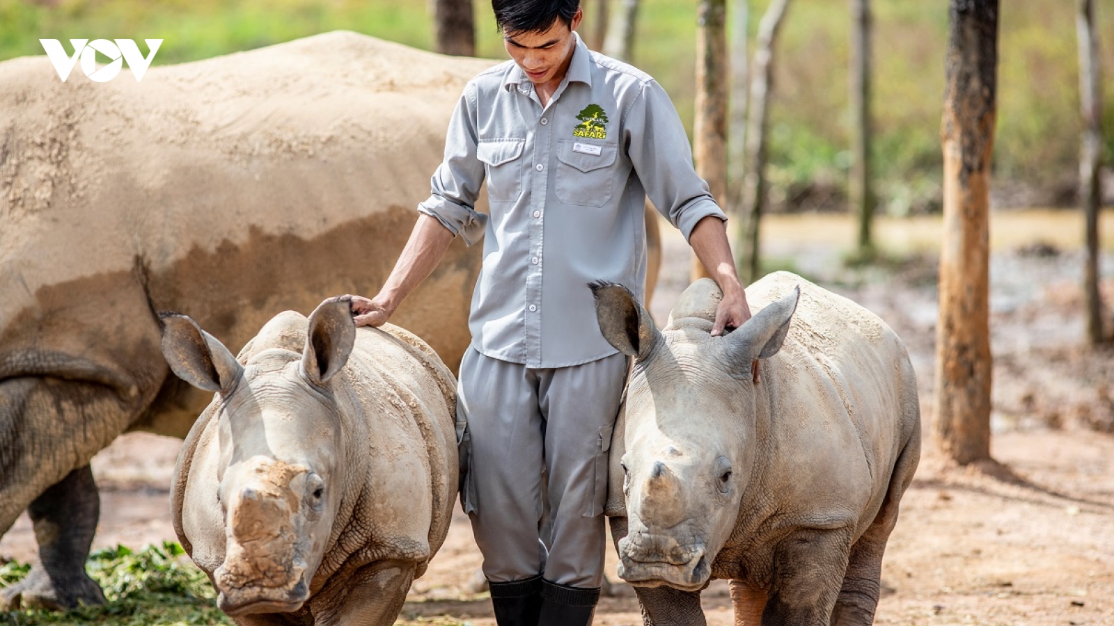 “Biệt đội phản ứng nhanh” của Vinpearl Safari Phú Quốc