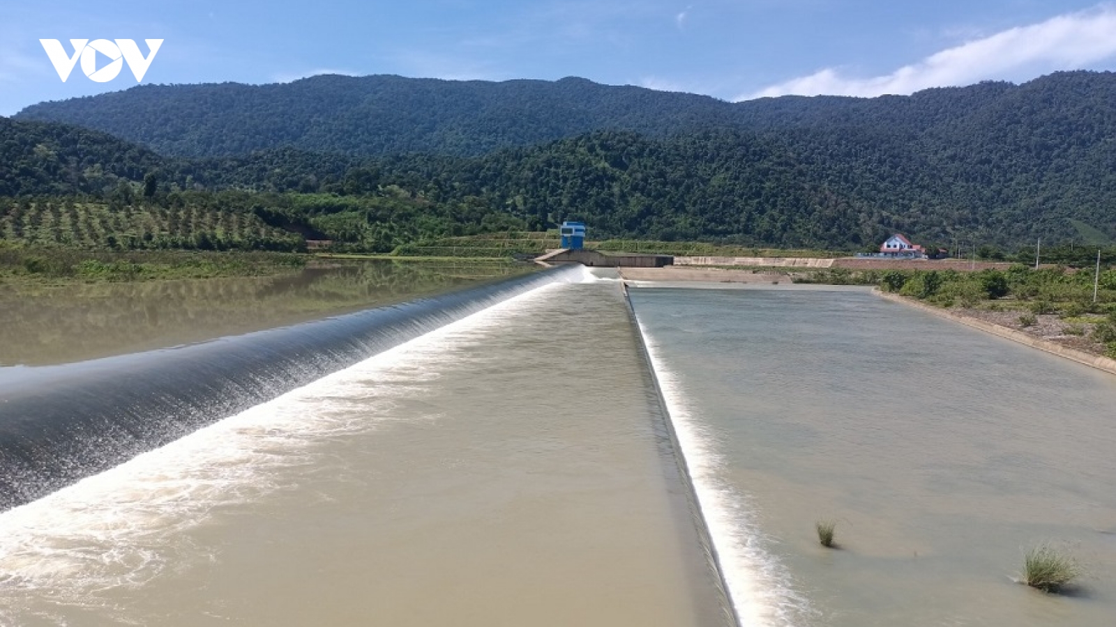 Bình Thuận đầu tư cho liên kết sản xuất và tiêu thụ lúa hữu cơ