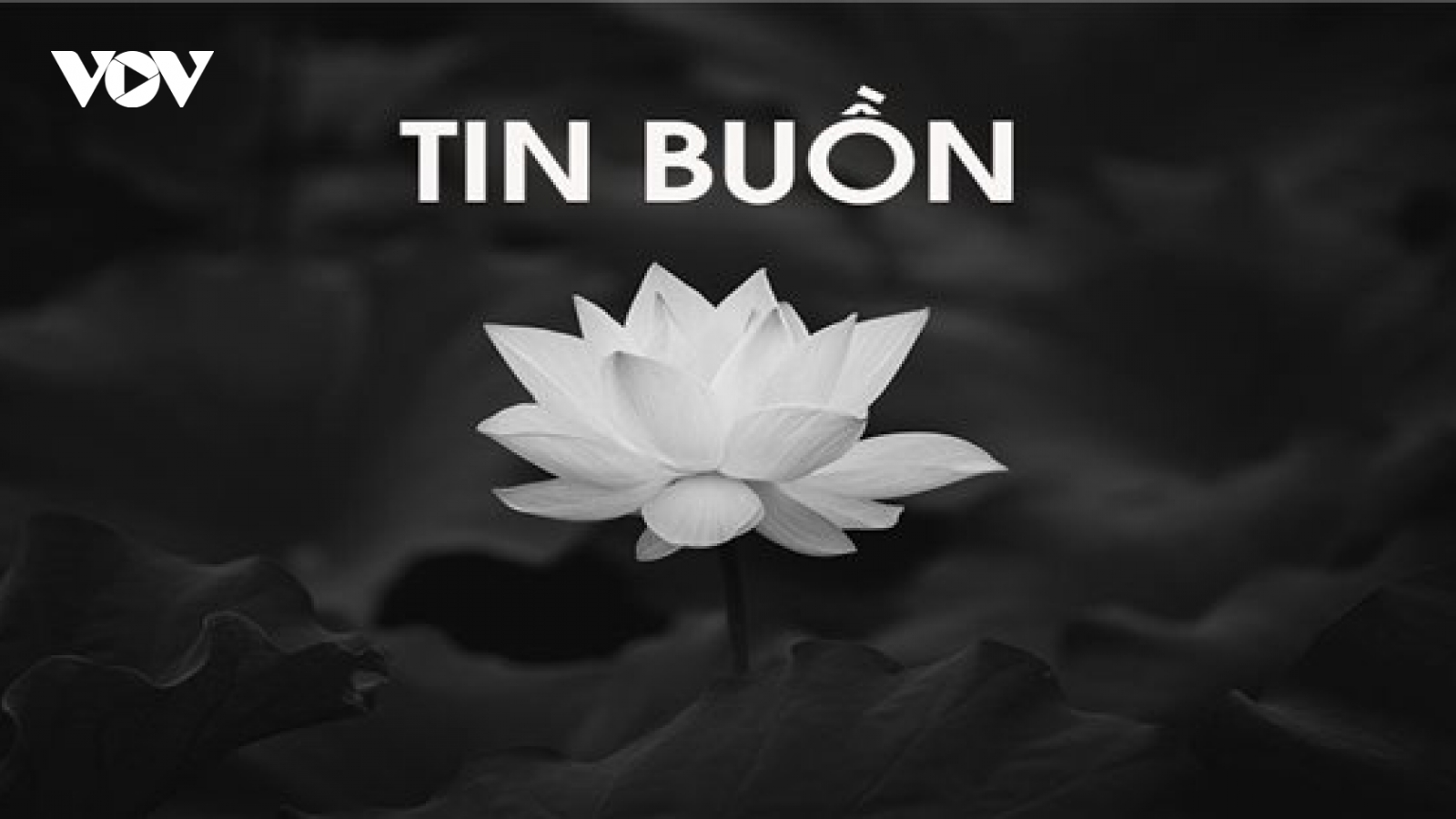 Nhạc sĩ - NSƯT Lê Đình Lực qua đời