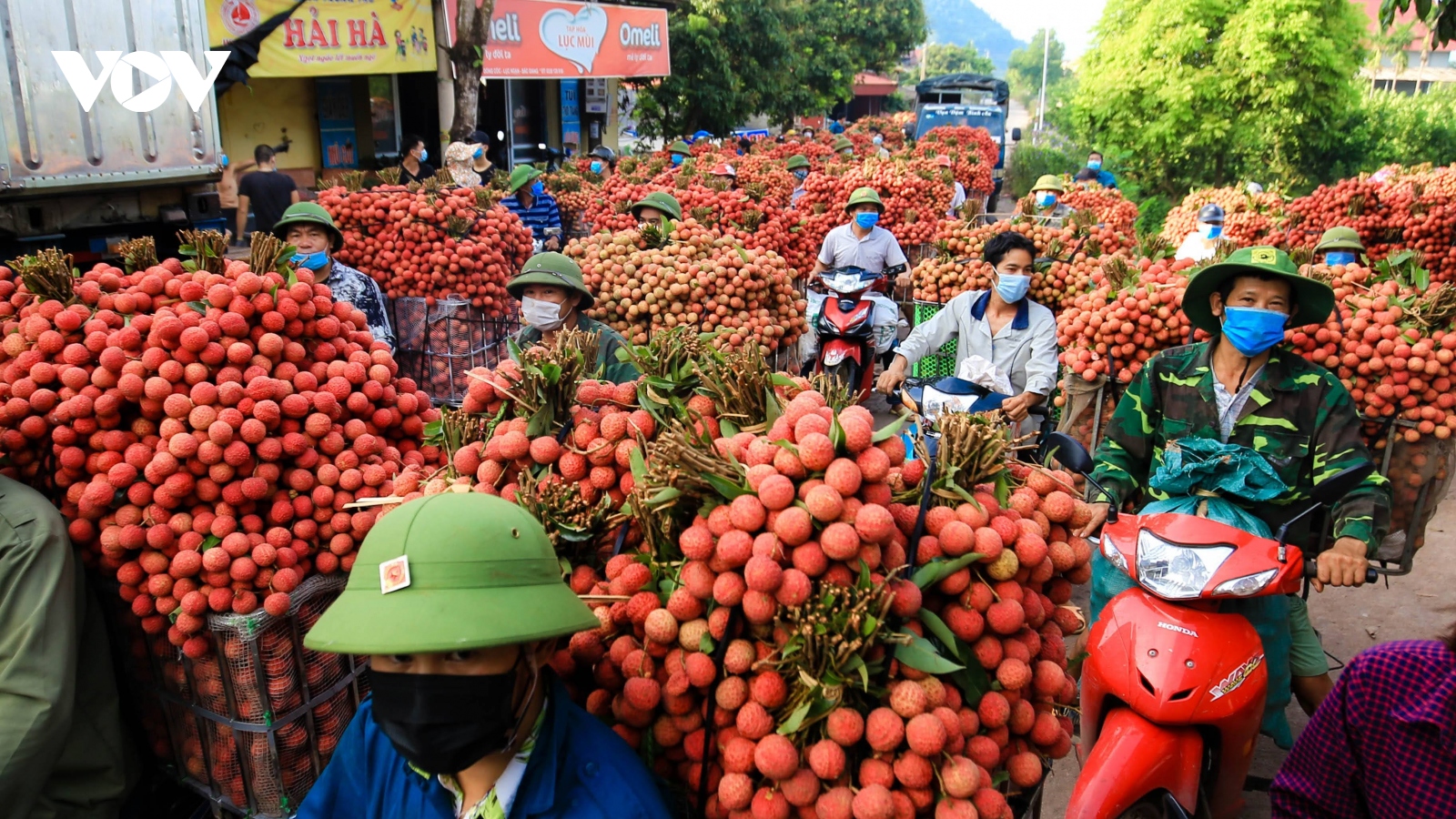 Vụ vải thiều Bắc Giang năm nay đạt doanh thu trên 6.780 tỷ đồng