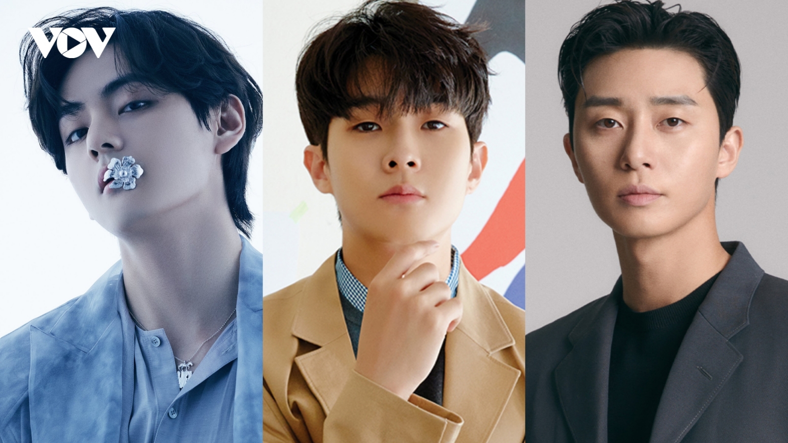 Hé lộ khối tài sản "khủng" của V (BTS), Park Seo Joon và Choi Woo Shik