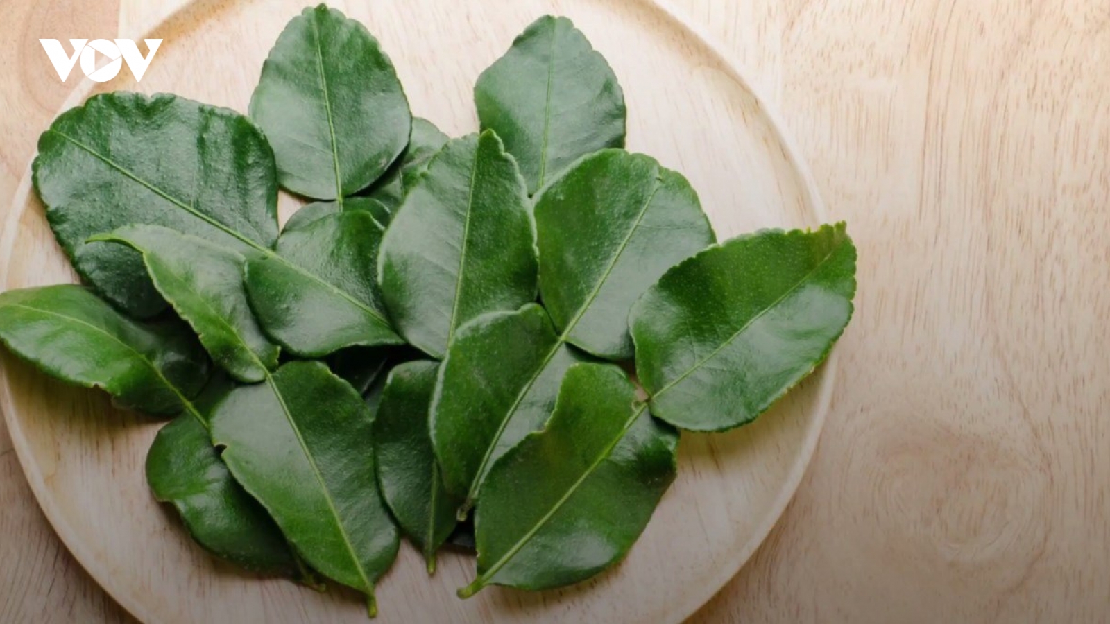 Lá chanh được bán với giá 6,35 triệu đồng/kg trên Amazon