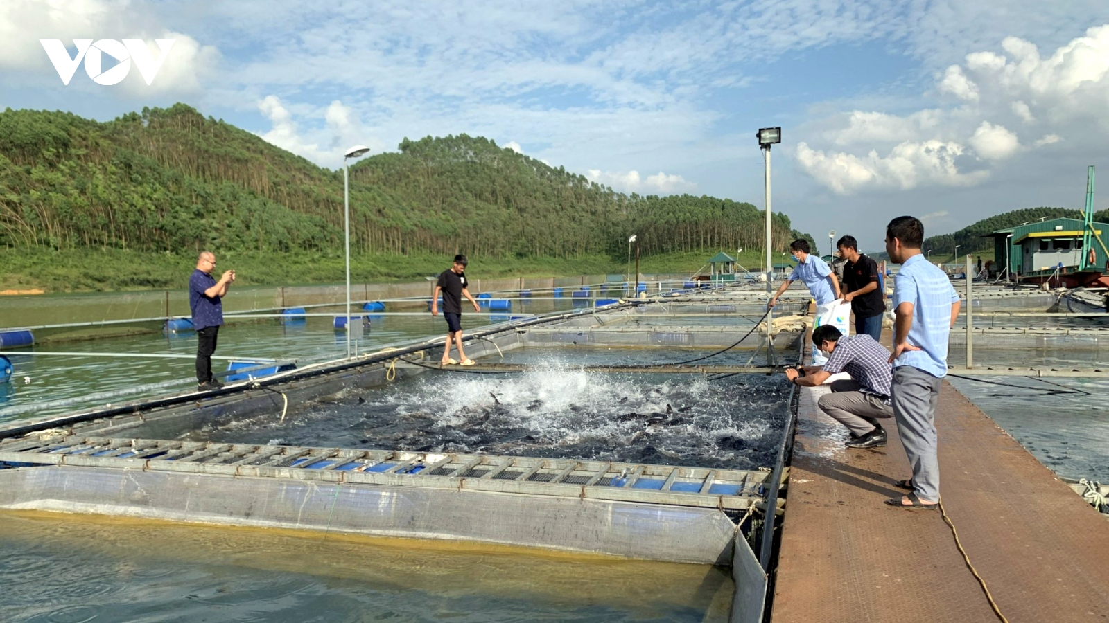 Đa dạng ngành nghề, hợp tác xã góp phần đổi thay bộ mặt nông thôn