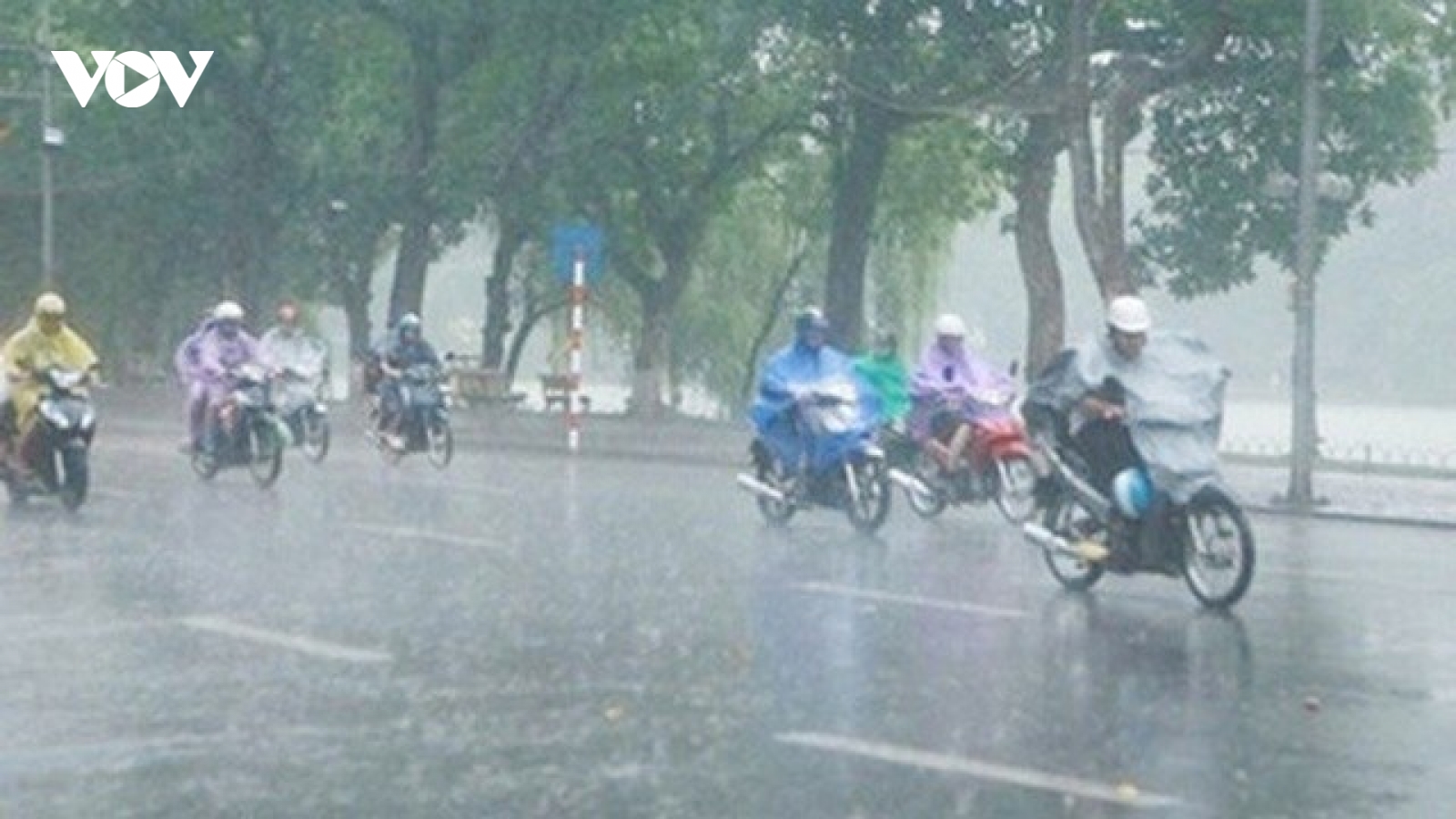 Thời tiết 31/7: Bắc Bộ có mưa rào và dông, đề phòng nguy hiểm