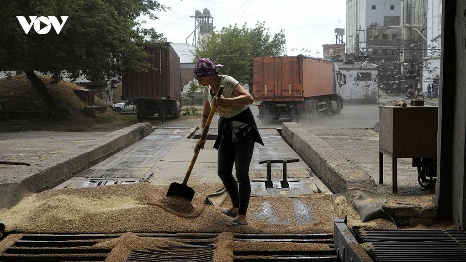 Ukraine ký thỏa thuận xuất khẩu ngũ cốc với Thổ Nhĩ Kỳ và Liên Hợp Quốc