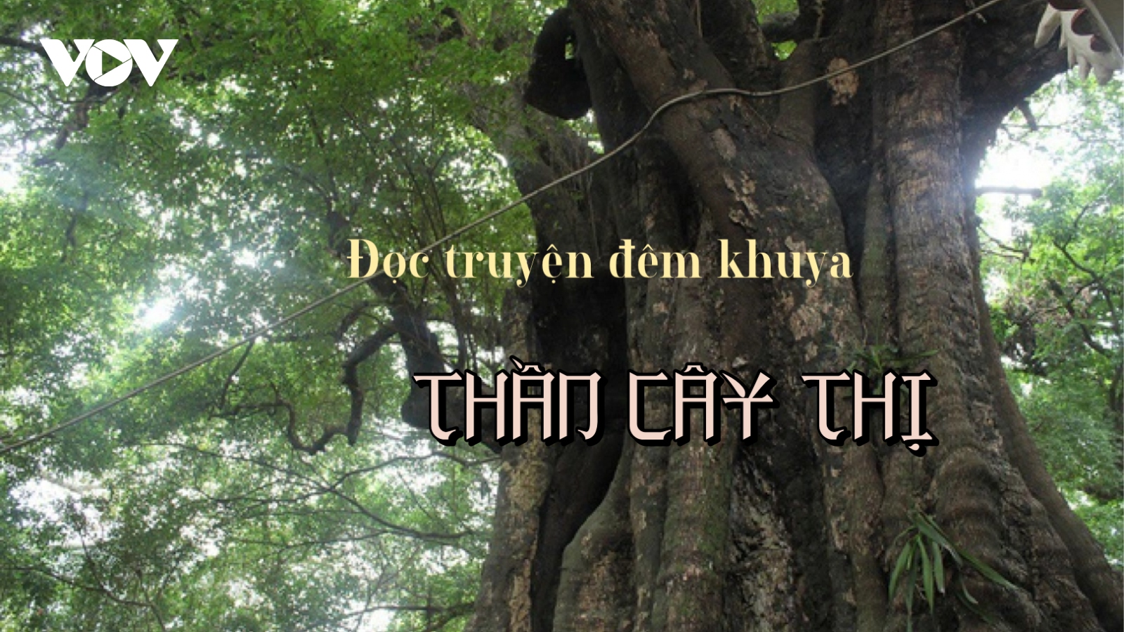 Truyện ngắn "Thần cây thị" - Mãi mãi một tình yêu