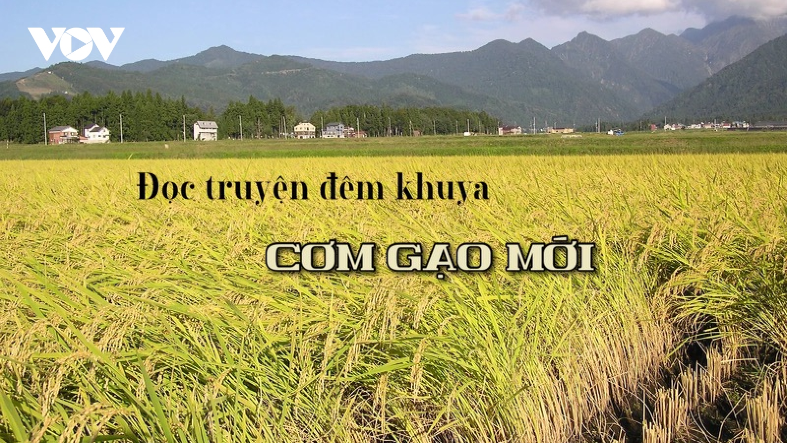 Truyện ngắn "Cơm gạo mới" - Đong đầy nỗi nhớ ruộng đồng