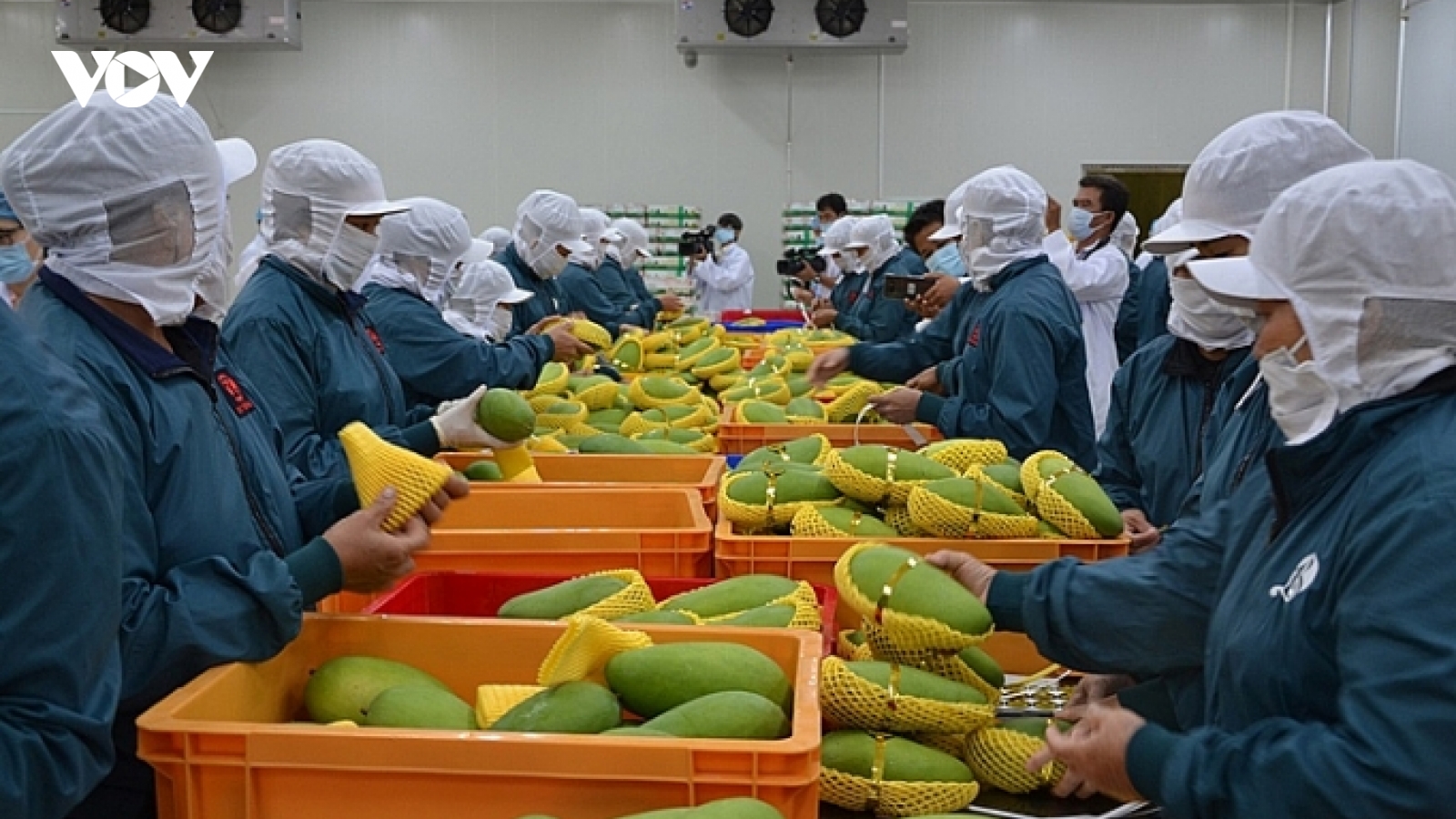 Thúc đẩy hợp tác Việt Nam- EU trong lĩnh vực hàng nông sản
