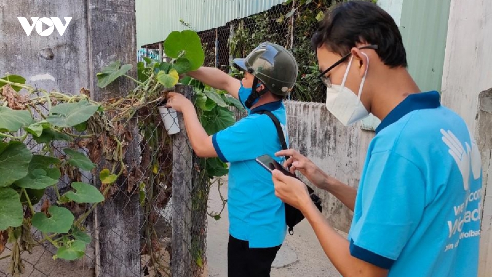 Bình Dương nỗ lực kiểm soát dịch sốt xuất huyết