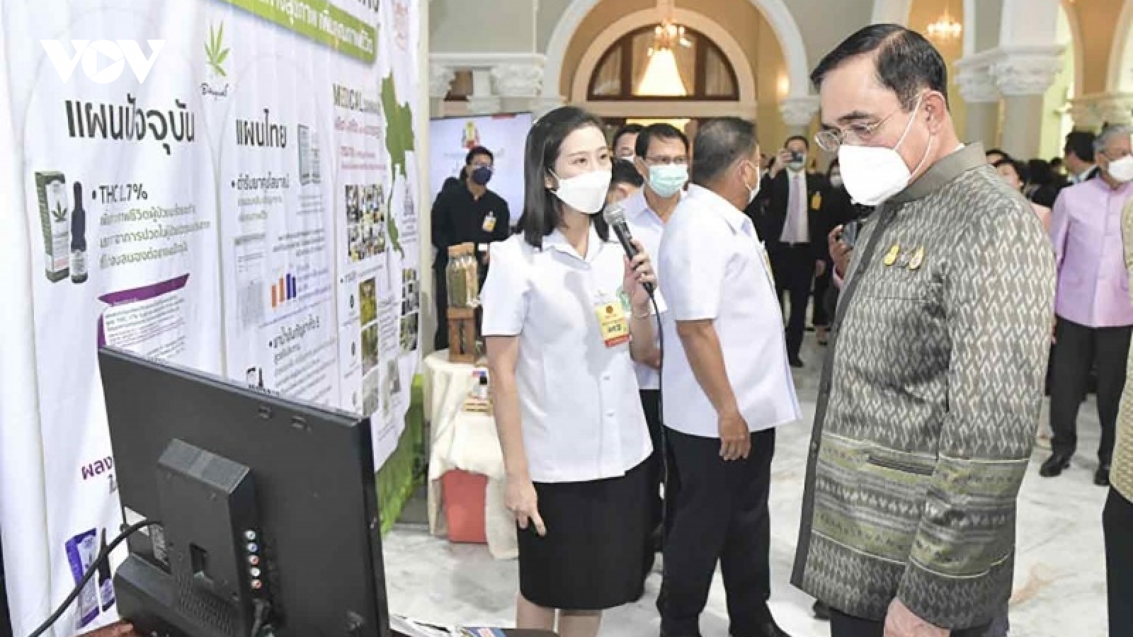 Hơn 800 bác sĩ Thái Lan kêu gọi chính phủ ngừng hợp pháp hóa cần sa