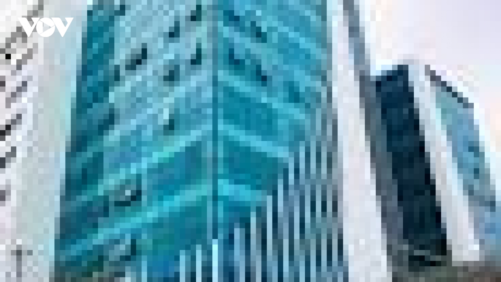 Khai trừ 3 đảng viên do vi phạm quy định về đấu thầu tại Quảng Ninh