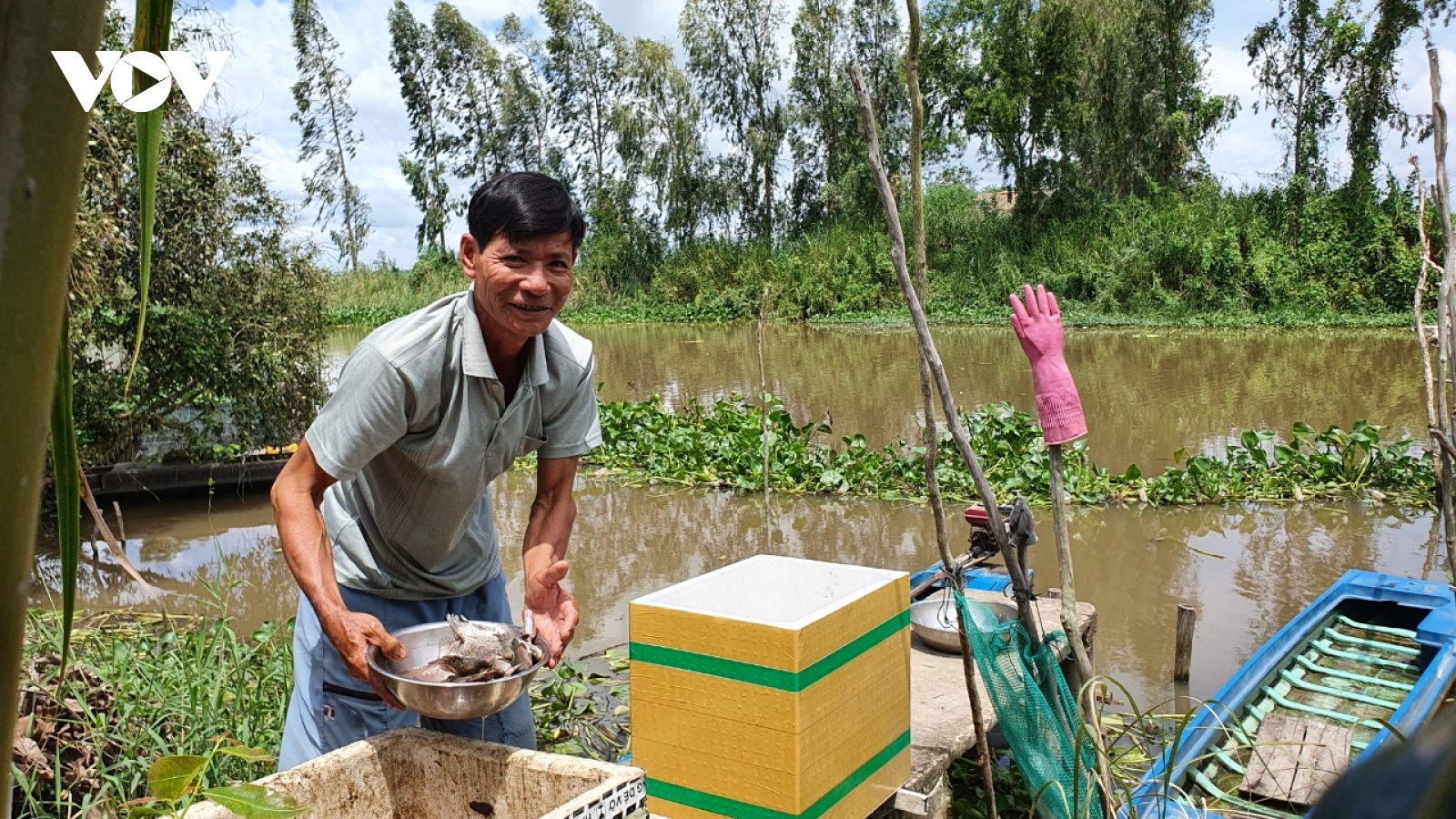 Lũ về muộn, nông dân vùng biên giới Long An tất bật đổi sinh kế  