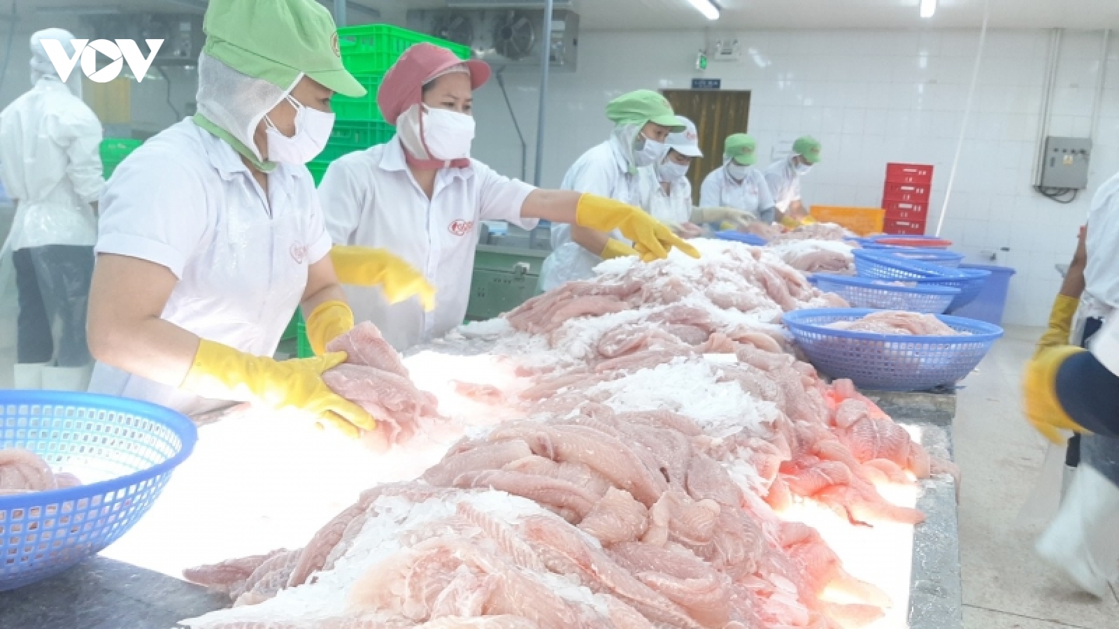 Giá mặt hàng cá tra xuất khẩu tăng