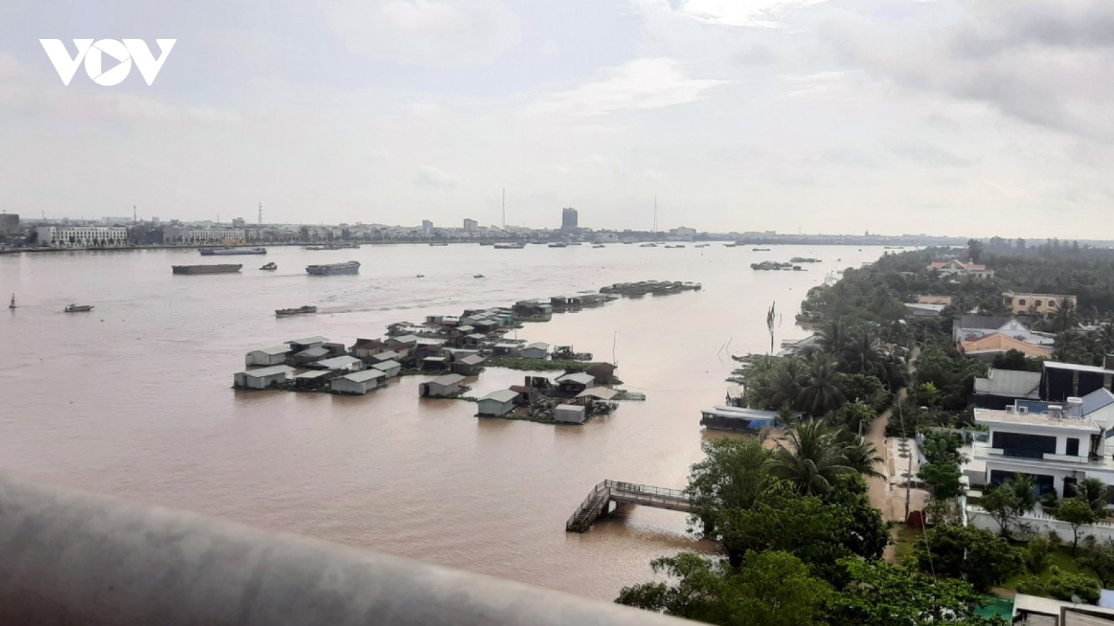 Nuôi cá thua lỗ, nhiều ngư dân ở Tiền Giang bán cả lồng bè