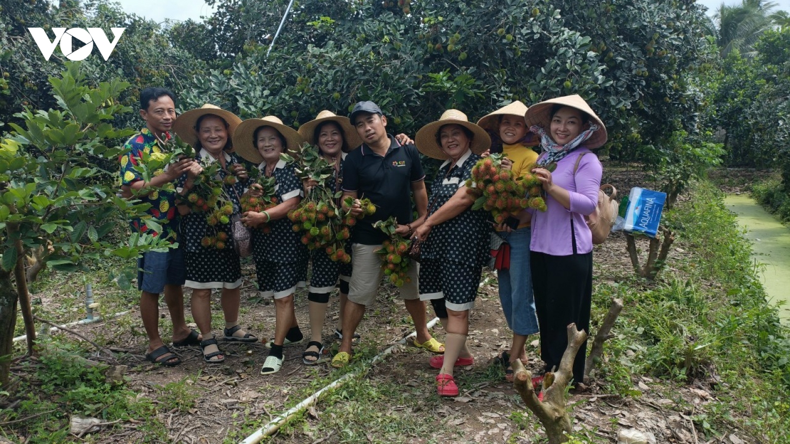 Đem lại giá trị kép, du lịch nông nghiệp được nhân rộng tại Bến Tre