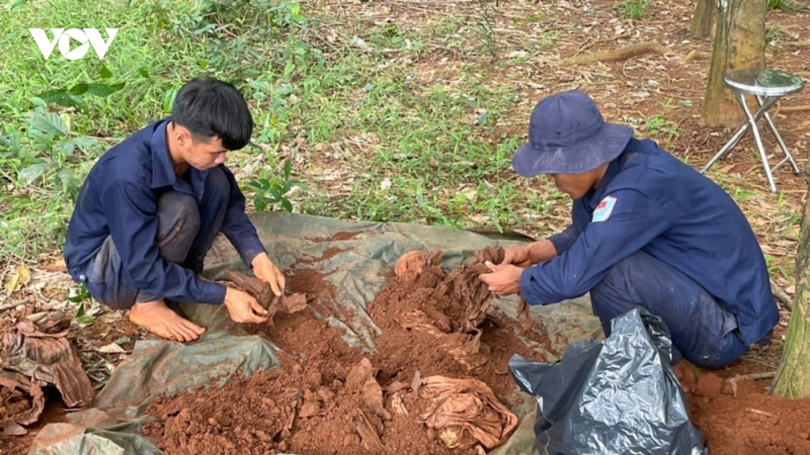 Bình Phước quy tập được 9 hài cốt liệt sỹ