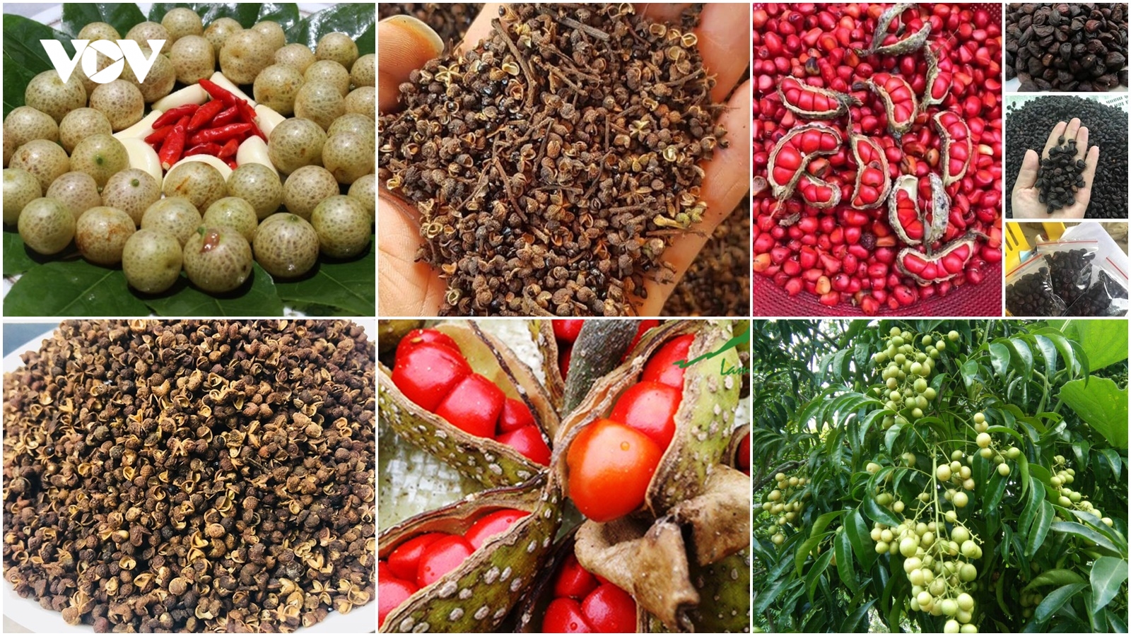3 loại gia vị đặc sản Tây Bắc: Vô cùng đắt đỏ vẫn hút khách