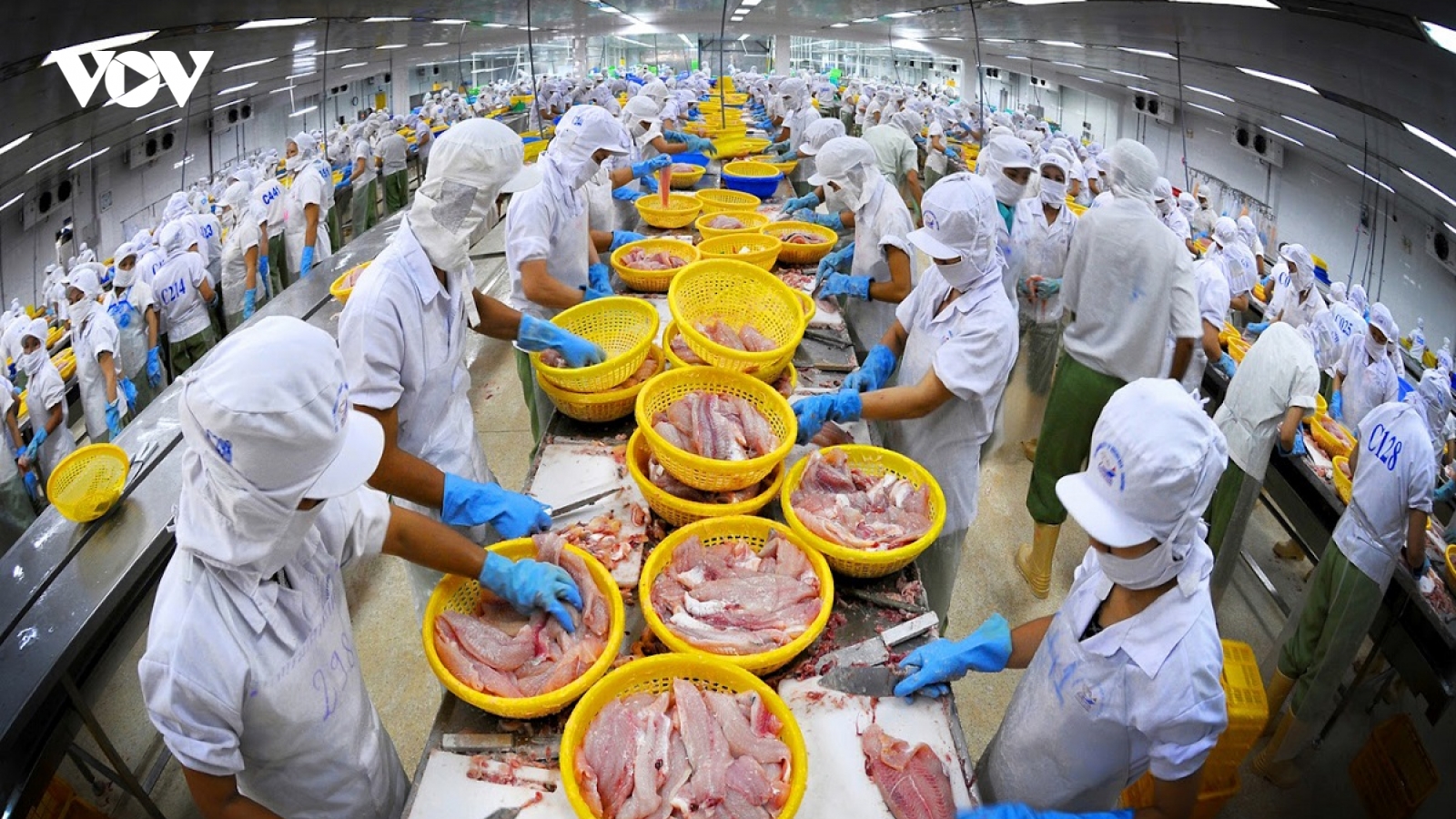 Doanh nghiệp thủy sản ứng phó với biến động tỷ giá