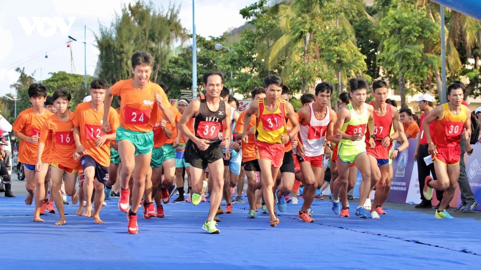 Hơn 1.800 người tham gia Giải Việt dã truyền thống Báo Bà Rịa - Vũng Tàu