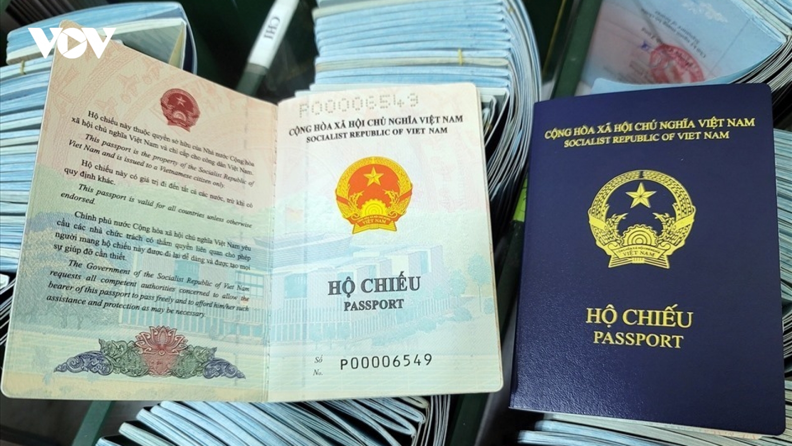 Đức sẽ cấp lại thị thực cho hộ chiếu mới của Việt Nam sau khi bổ sung thông tin