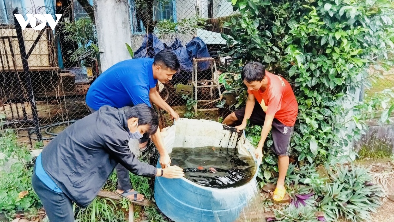 Gia Lai chung tay đẩy lùi sốt xuất huyết