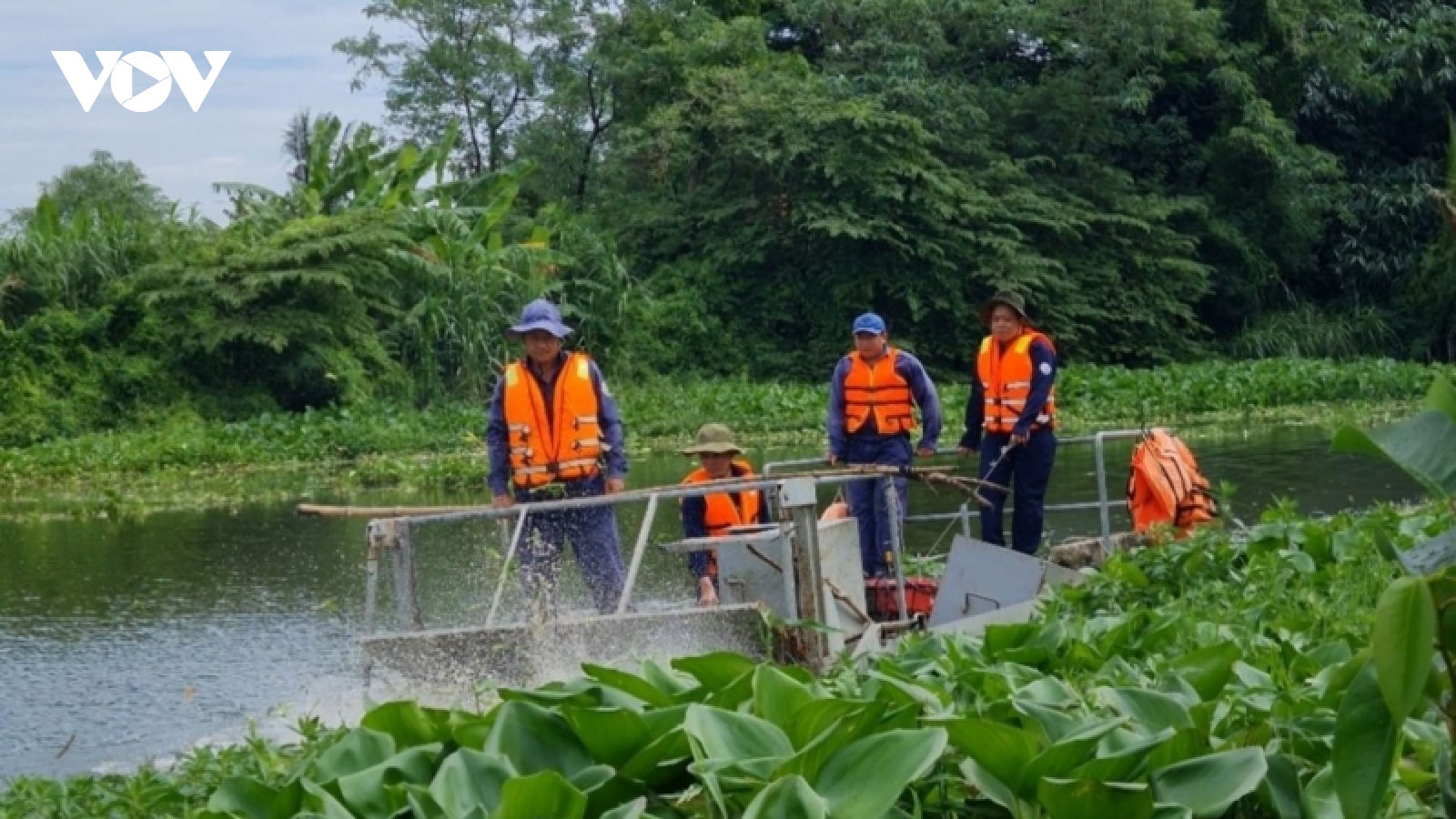 Thuyền máy diệt cây lục bình dưới kênh rạch, giải pháp hay cần nhân rộng