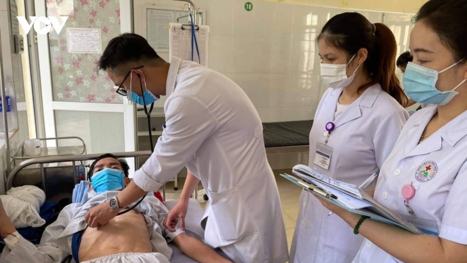 Bị ong đốt, mẹ tử vong, con nhập viện cấp cứu