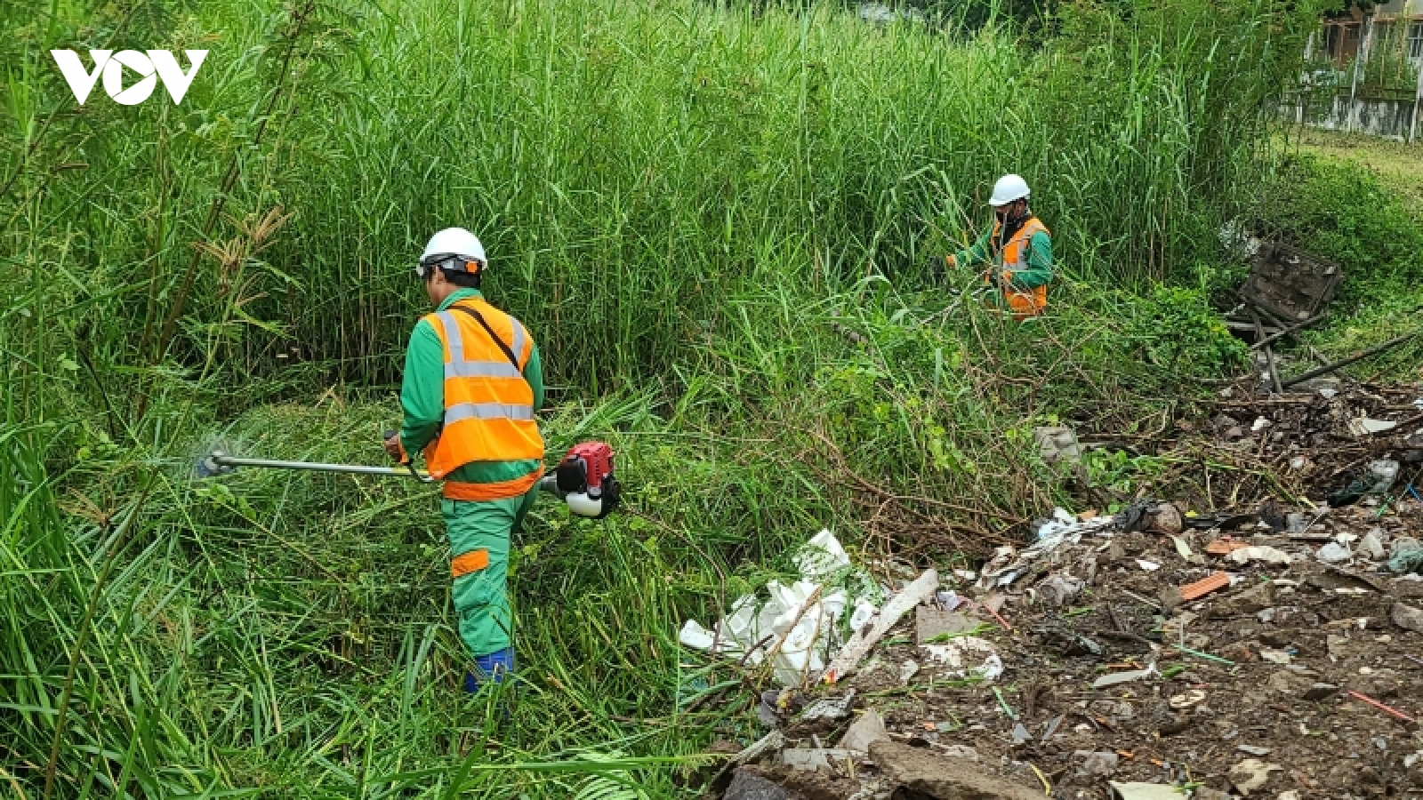 TP.Thủ Đức phát động tháng cao điểm phòng, chống dịch sốt xuất huyết