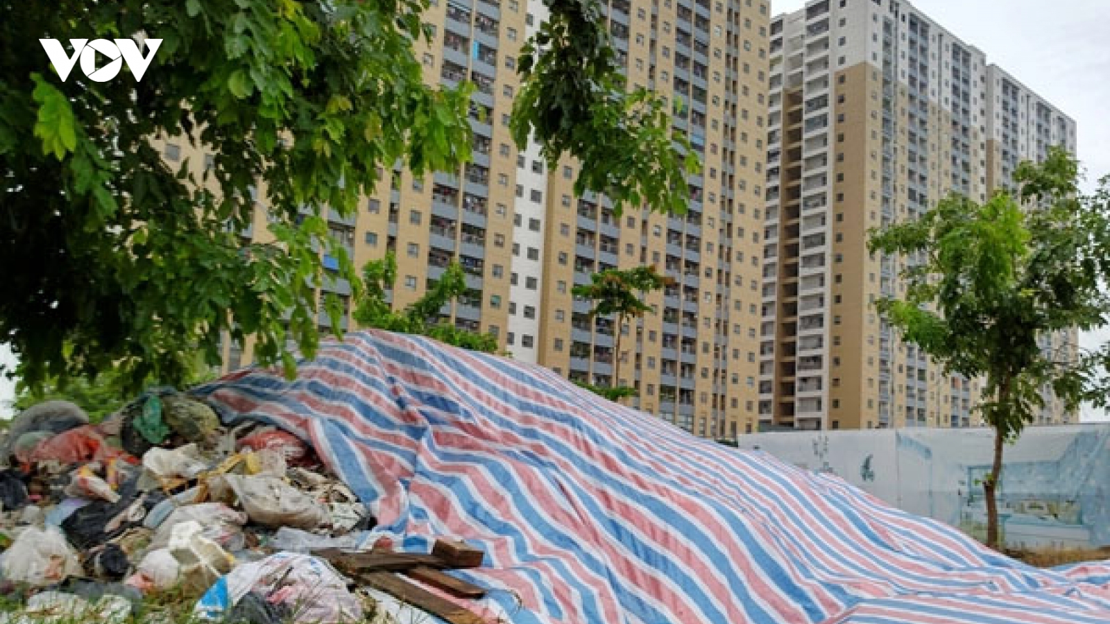 Không thu gom rác của hộ gia đình, Ban quản lý chung cư bị phạt đến 300 triệu
