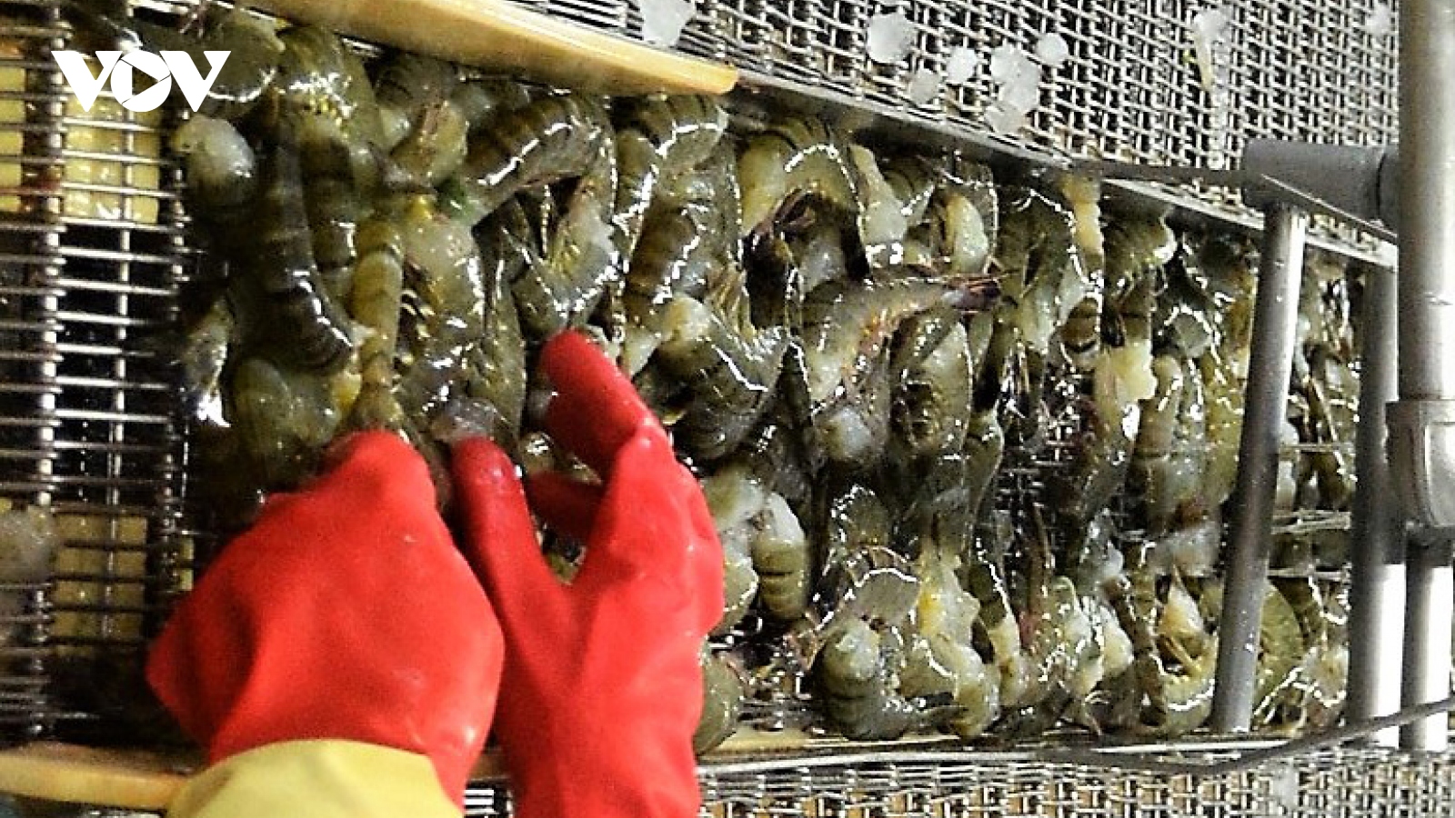 Mỹ tiếp tục là thị trường xuất khẩu nông thủy sản lớn nhất của Việt Nam