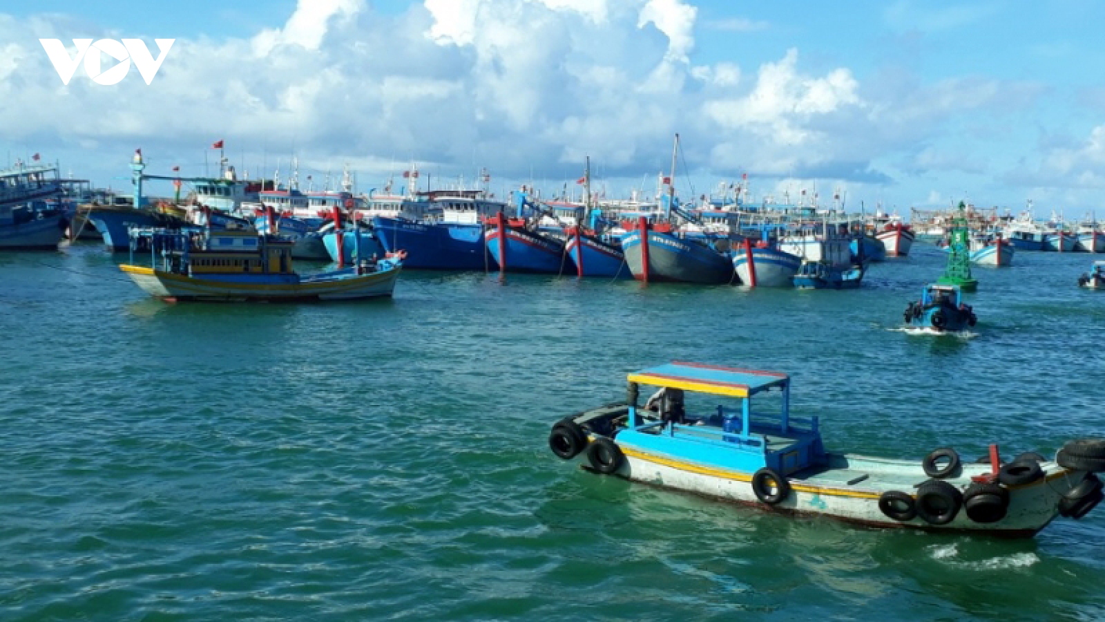 Nhiều giải pháp phòng, chống khai thác hải sản bất hợp pháp
