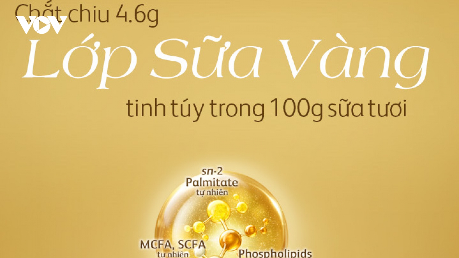 Friso Prestige với công thức dinh dưỡng “Lớp sữa vàng tăng cường miễn dịch”