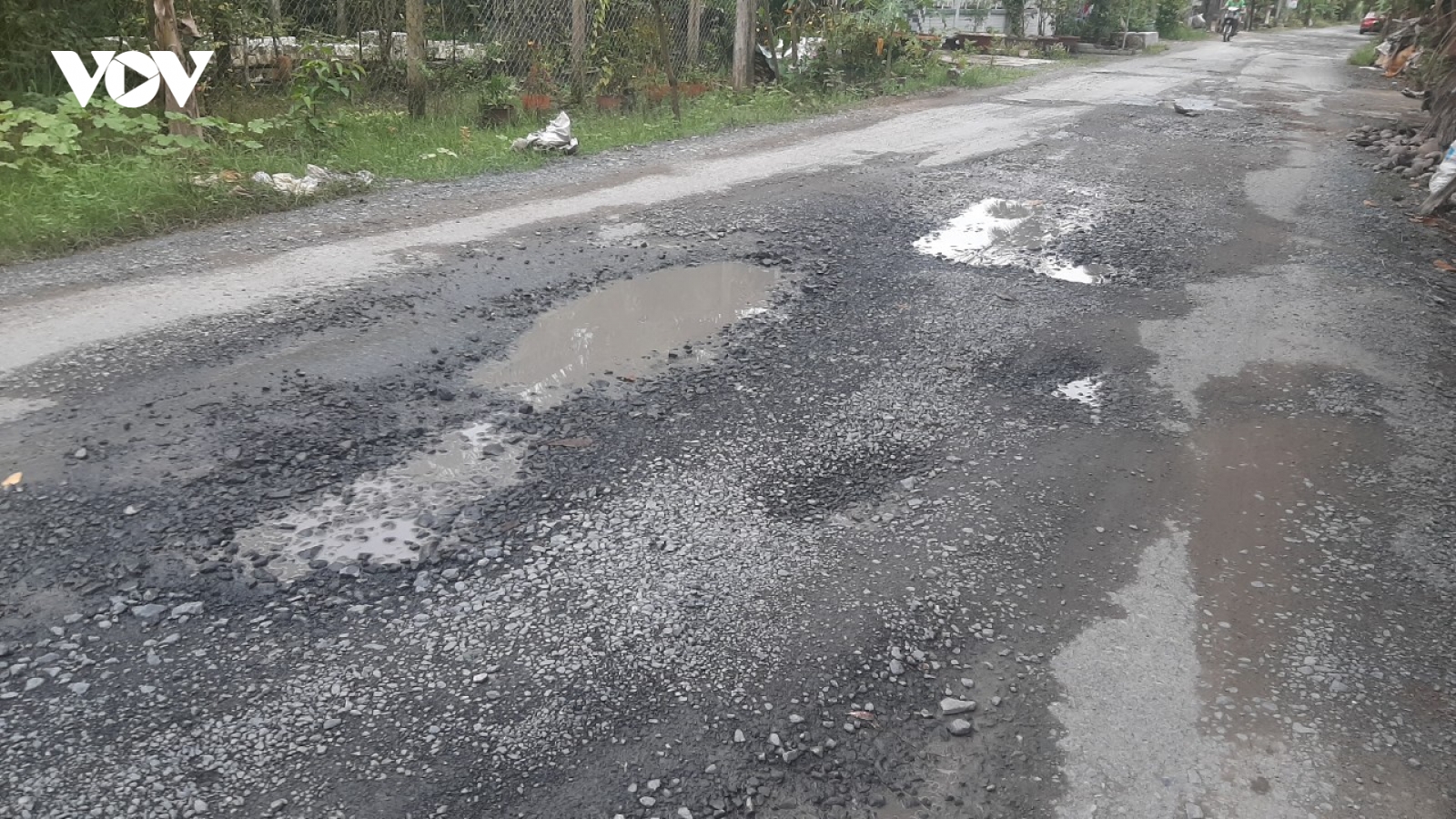 Tiền Giang: Người dân “kêu cứu” vì huyện lộ 36 đầy ổ gà, ổ voi