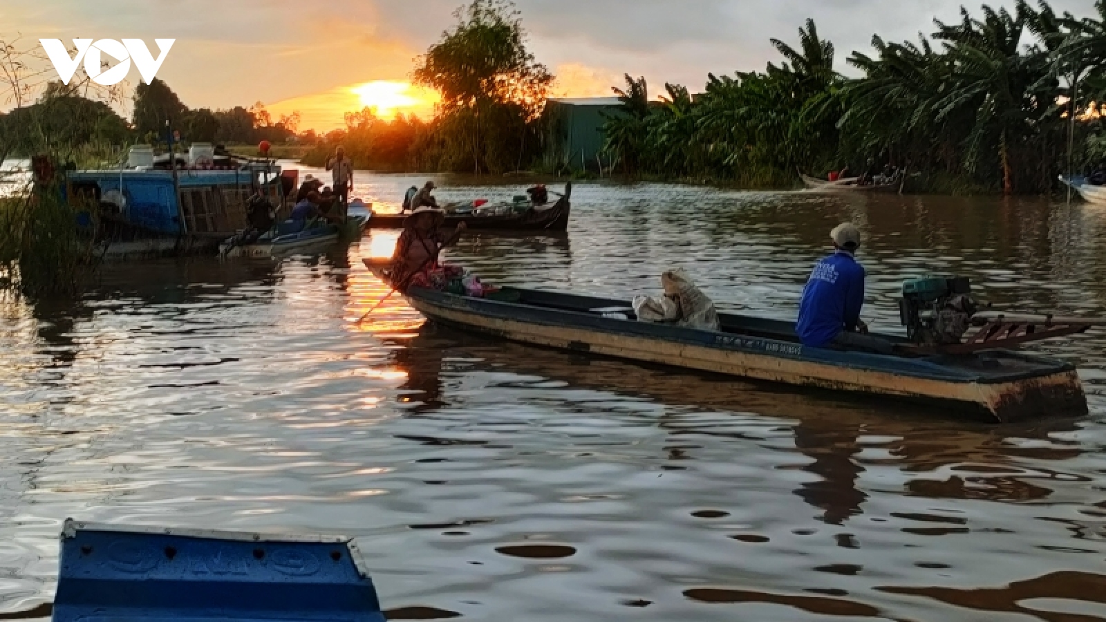 Nhộn nhịp chợ cá đồng mùa nước nổi ở An Giang